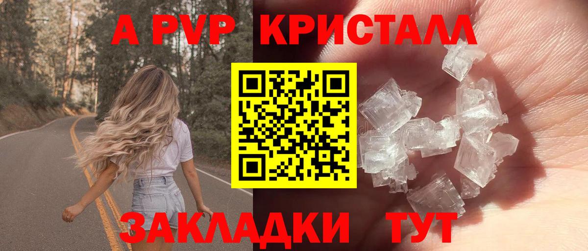 Альфа ПВП СК КРИС Ростов-на-Дону