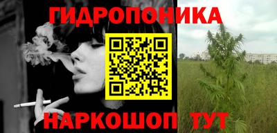 индика Беслан