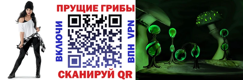 Псилоцибиновые грибы Cubensis Ростов-на-Дону