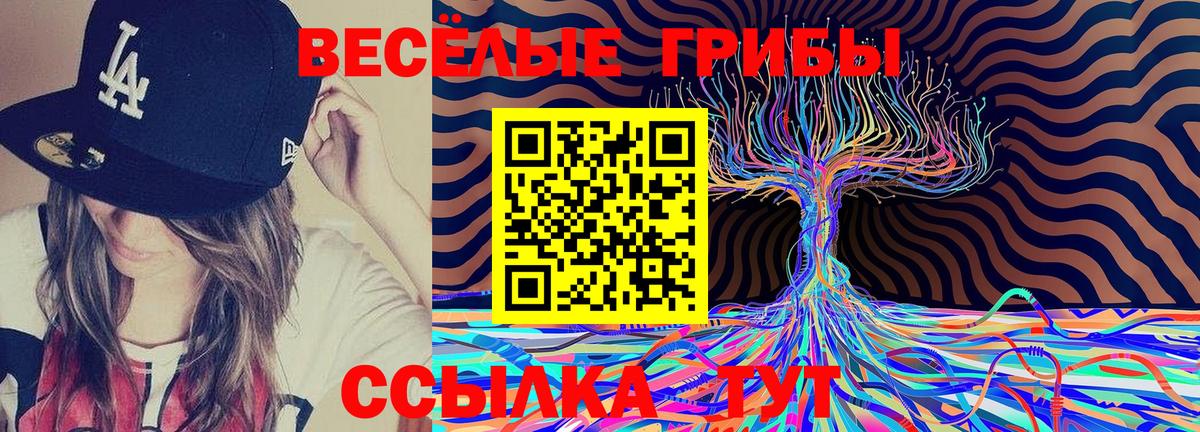 Галлюциногенные грибы мухоморы  Ростов-на-Дону  Псилоцибиновые грибы MAGIC MUSHROOMS 