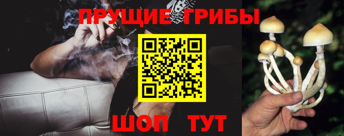 Галлюциногенные грибы прущие грибы Ростов-на-Дону